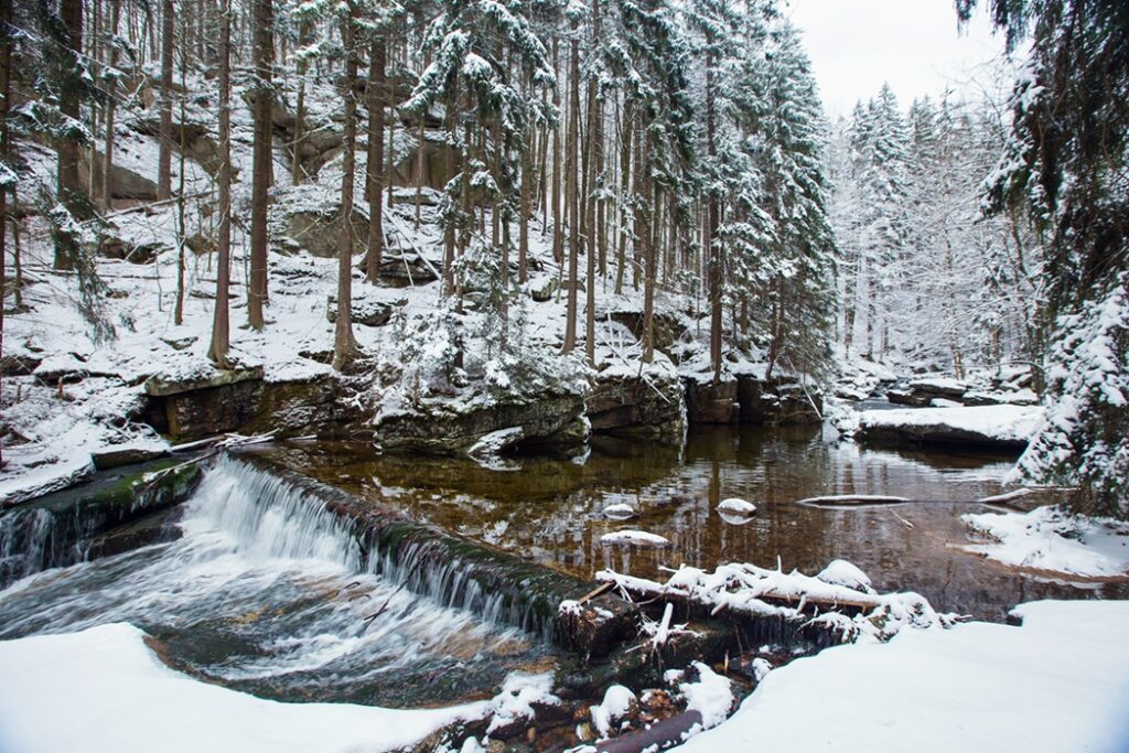 pomysły na wyjazd dla dzieci Bieszczady - trasy na spacer